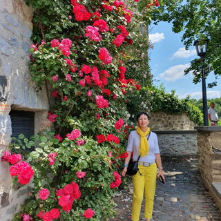 Meine Lieblingsblumen...