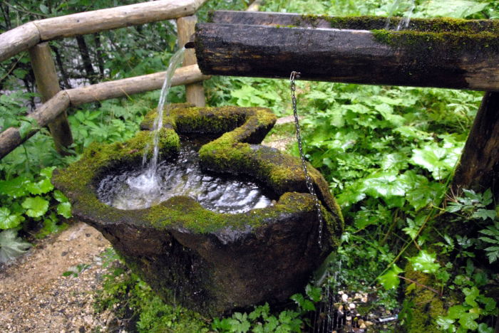 "Wasser ist auch gut für die Seele"