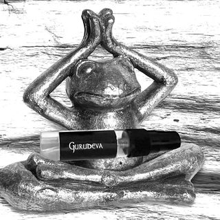 GuruDeva / House of Orp...