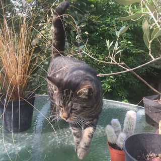 Oli auf Entdeckungsreis...