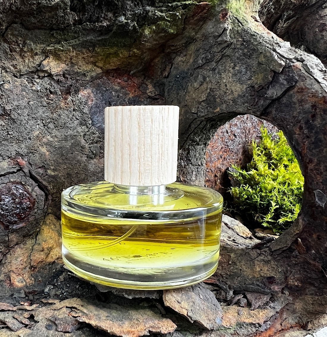 46°N 08°E / Richard Lüscher Britos