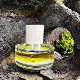 46°N 08°E / Richard L...