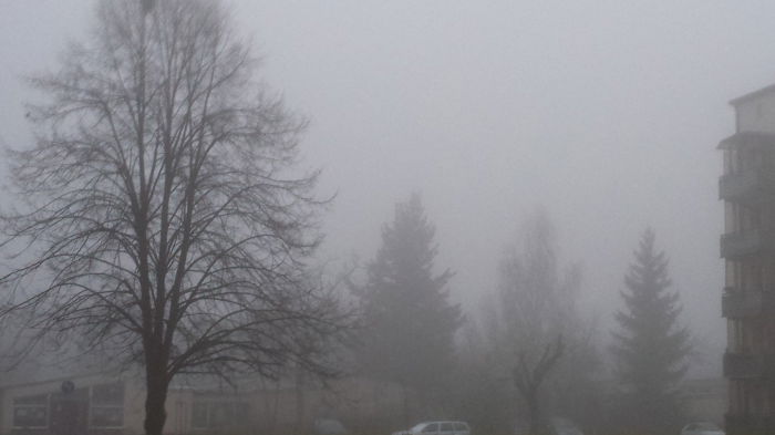 Ich mag diese Stimmung und überleg gerade, welches Parfüm das sein könnte...Vorschläge willkommen ;-)