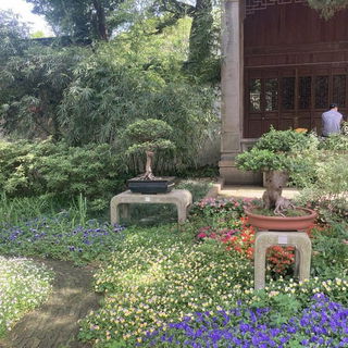 Vorgarten in Ancient Hu...