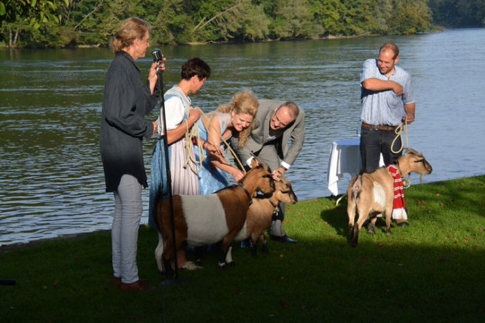 Unsere drei "Trauziegen", die uns die Ringe gebracht haben