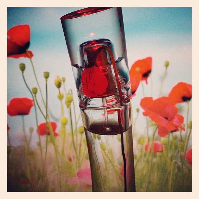 Flower EDT by Kenzo