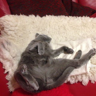 Relax - das Motto von S...