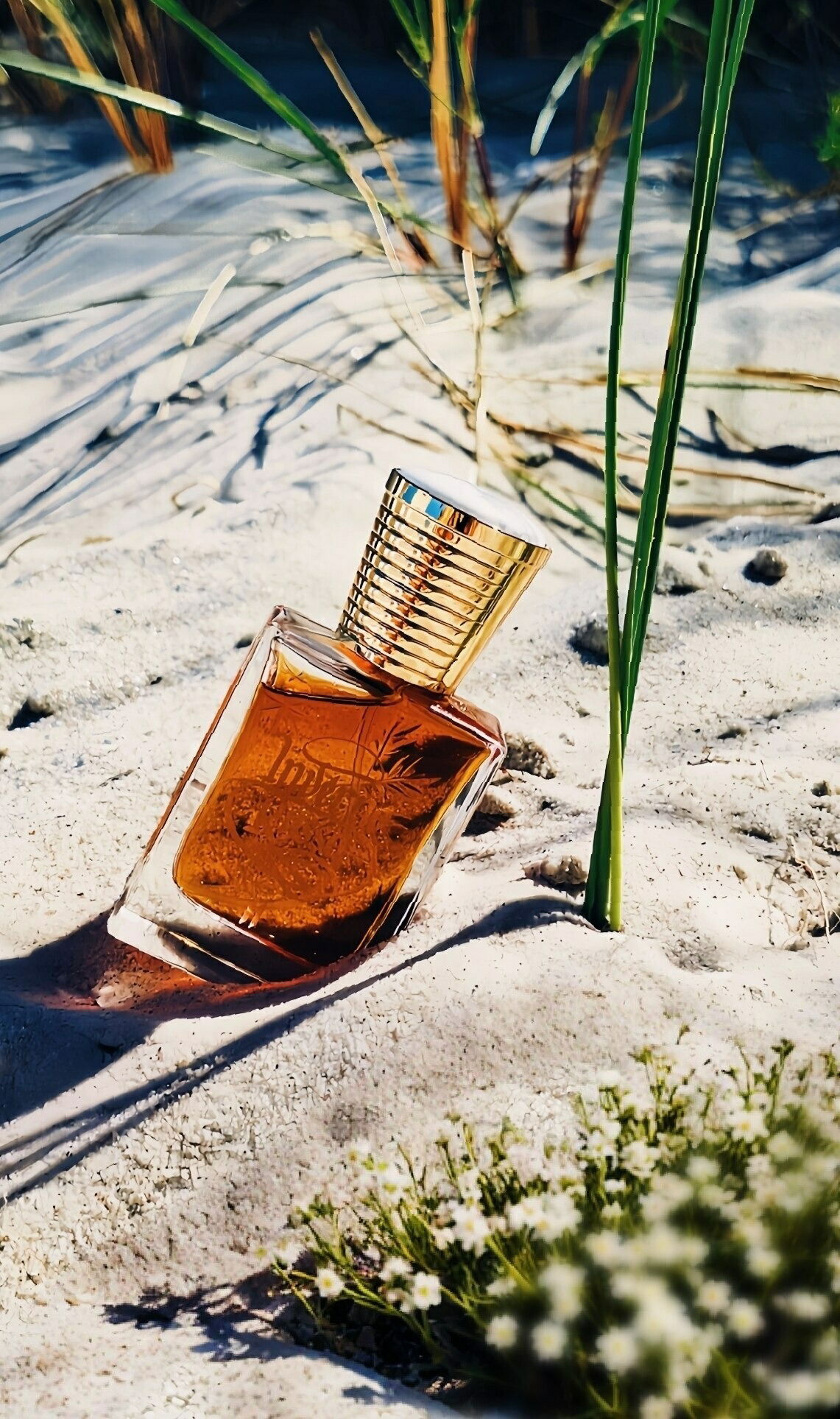 Inverno 🌨 Russo : leise rieselt der Sand. sʜᴏᴄᴋ. ᴄᴏᴢɪɴᴇss… ʟᴏᴠᴇ… ᴘᴀssɪᴏɴ… ɴᴏsᴛᴀʟɢɪᴀ… sᴀᴅɴᴇss… ᴊᴏʏ… ᴘᴇᴀᴄᴇ… sɪʟᴇɴᴄᴇ. @russianadam Inverno Russo II