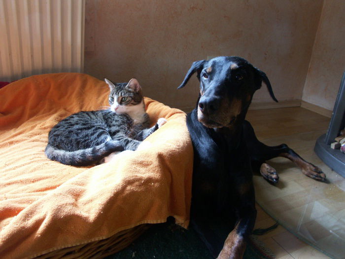 Rudi & Chicca