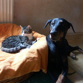 Rudi & Chicca