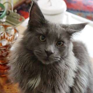 Teddy im November... mi...