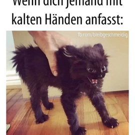Jetzt endlich auch mit ...