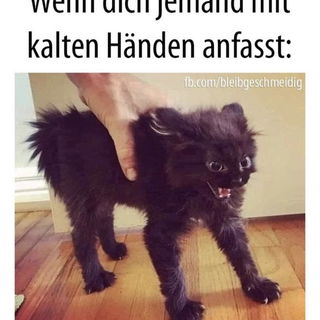 Jetzt endlich auch mit ...