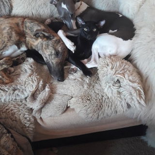 Mittendrin statt nur da...