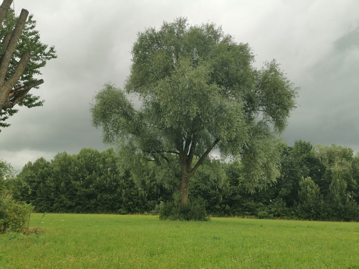 Das Aufatmen der Natur