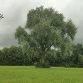 Das Aufatmen der Natur...