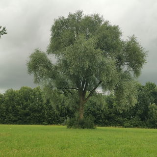 Das Aufatmen der Natur...