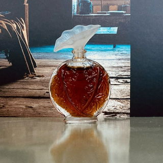 „Histoire d'Amour“ ...