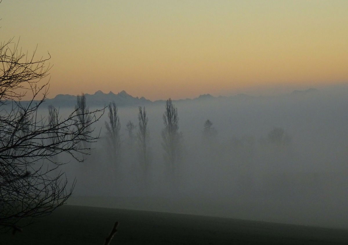 Nebel kriecht vom Inn den Hügel rauf ..