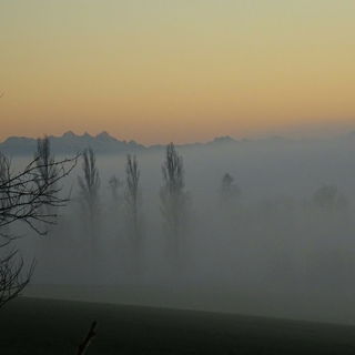 Nebel kriecht vom Inn d...