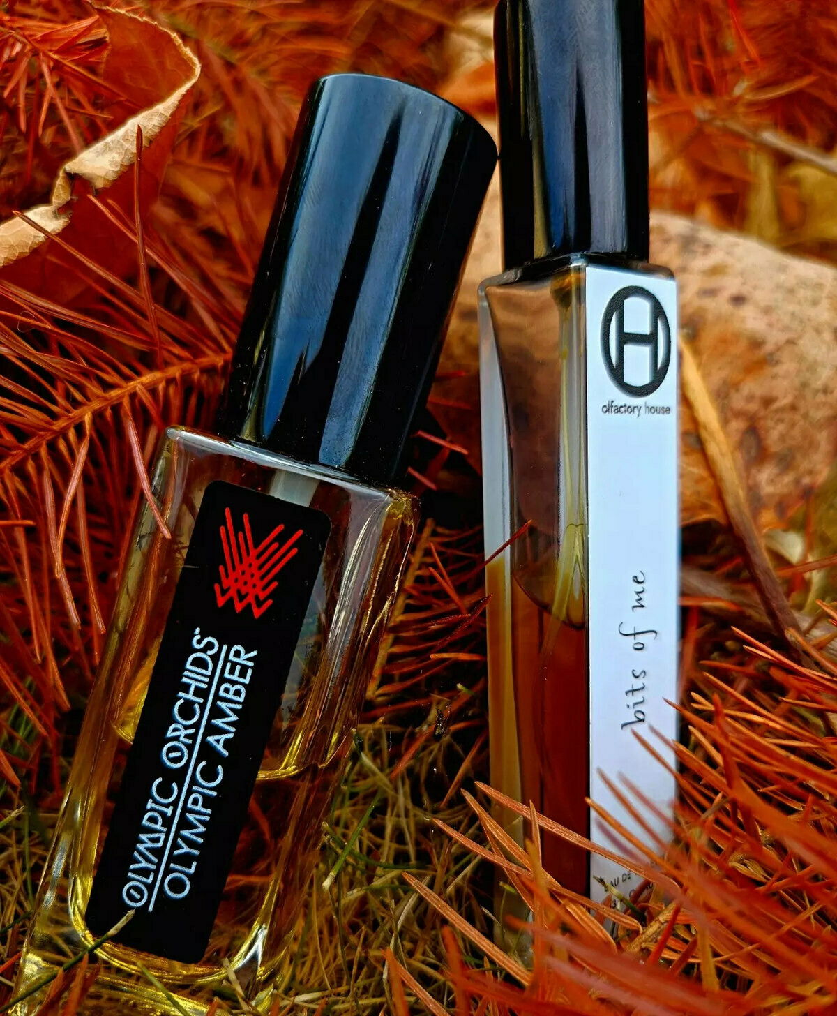 These two PNW would be friends if they were people. An oldschool amber, and a newschool chypre from Olympic Orchids and Olfactory House.