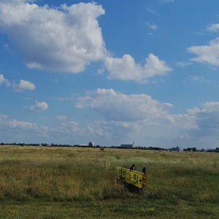 Nebelkrähen