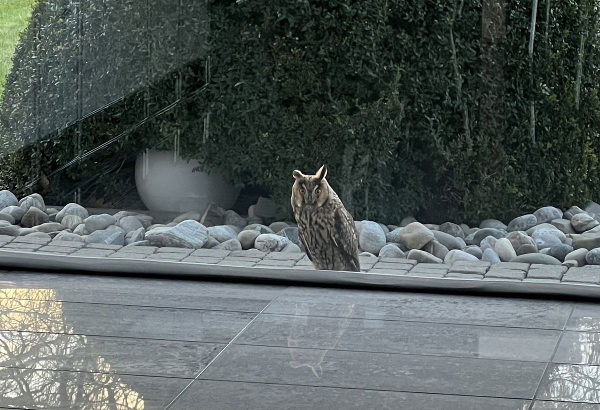 Die Post streikt zwar heute, aber bei mir war ein neuer Postbote vor‘m Fenster … Brief aus Hogwarts? Eher von Parfumo 😀 (20.1.2023)