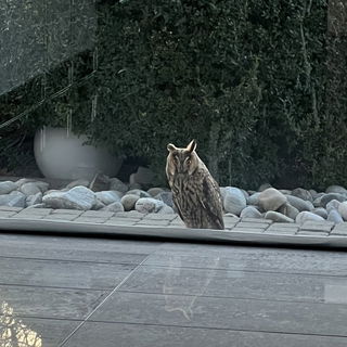 Die Post streikt zwar h...