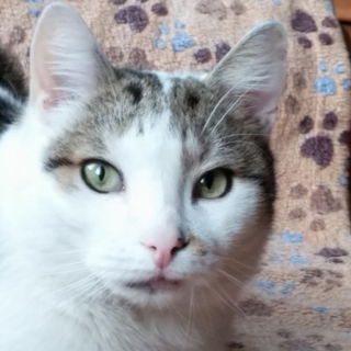 Mein Namensgeber Dobby ...