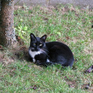 Yuki ist übrigens ein ...
