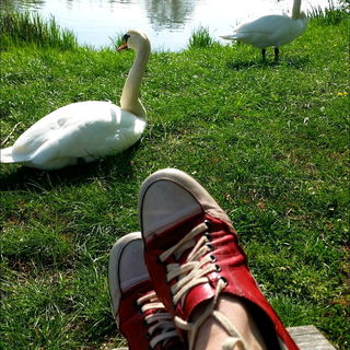 Rast_ohne_Hast :-) hier...