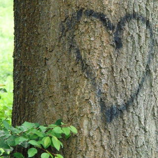 ...die Welt braucht ein...