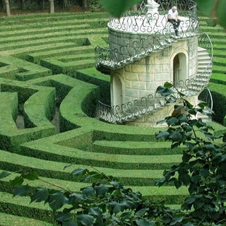 Life is a maze...