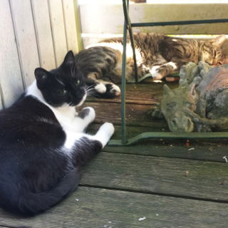 Sind wir nicht alle kle...