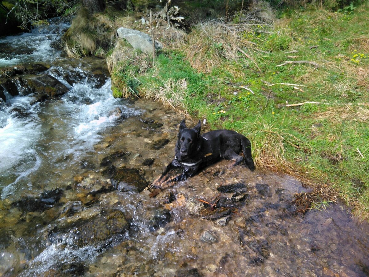 Komm gut an im Licht, mein Schatz. Du fehlst mir unendlich...