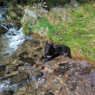 Komm gut an im Licht, m...