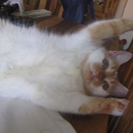 Meine geliebte Nelly 20...