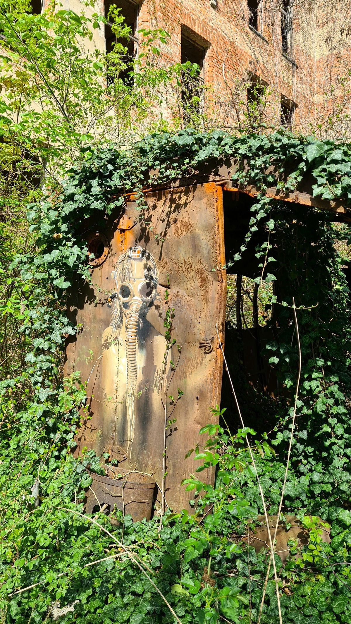 Beelitz-Heilstätten - Mai 2023