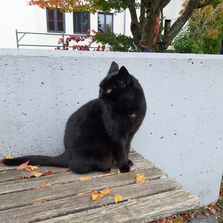 Teamseminar am 18.10.24...