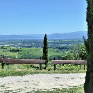 Ein Blick auf die Weinr...