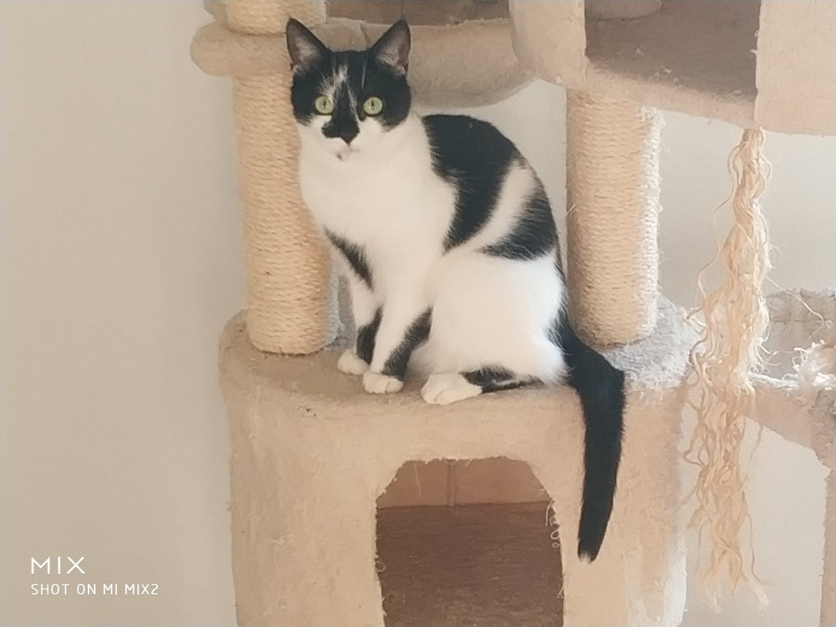 Krümel