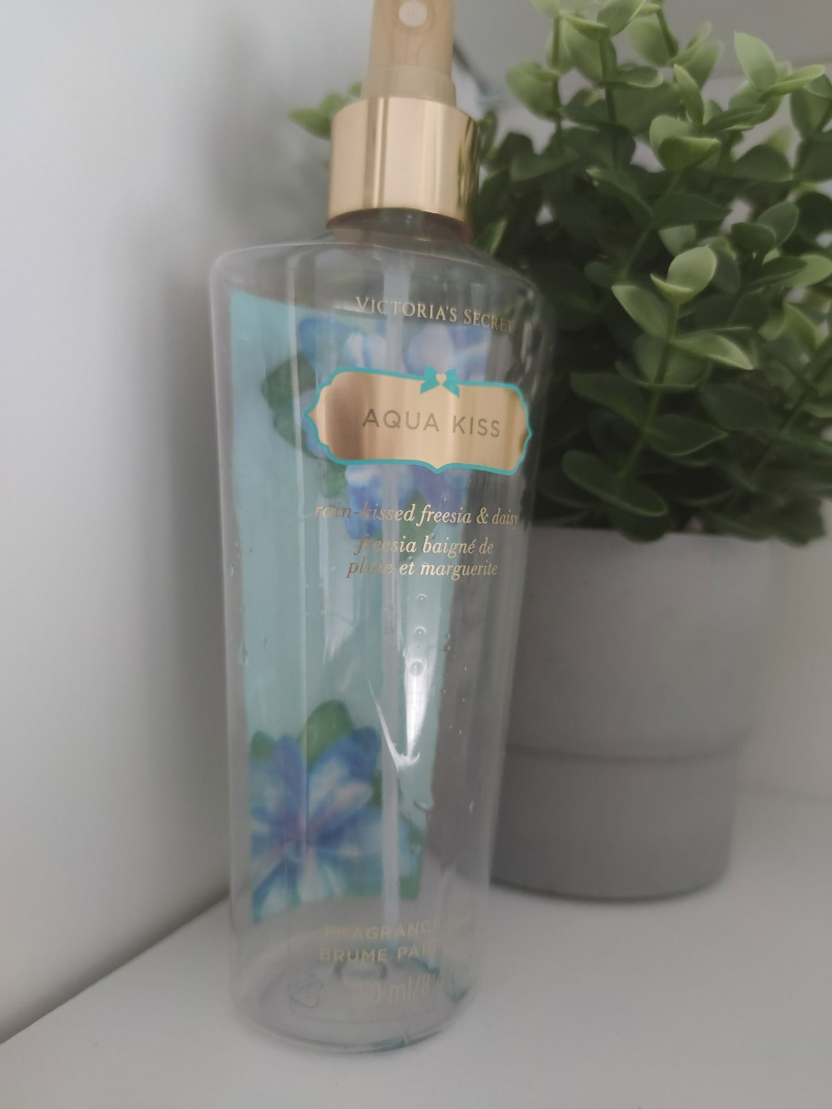 Was man so in alten Reisetaschen noch findet