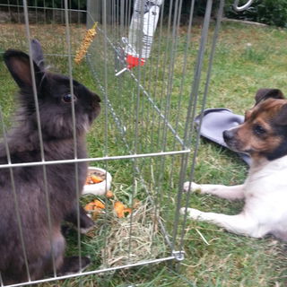 Chapi + Paul