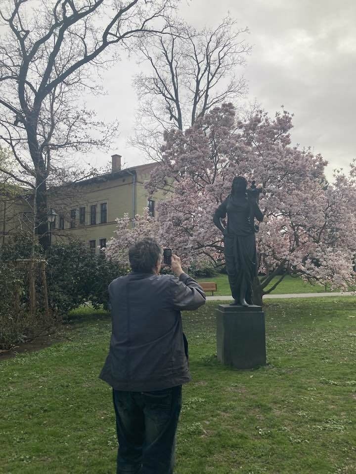 Magnolie und die Jungfrau locken Fotografen