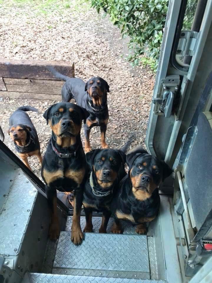 Komischerweise findet mindestens jedes zweite Paket nicht den Weg zu mir ;-)