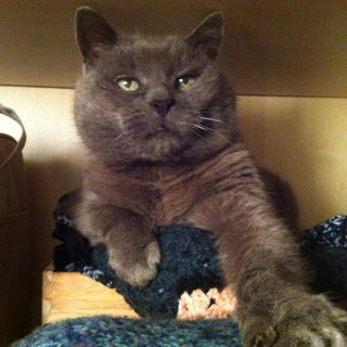 Er liebt es, sich im  S...