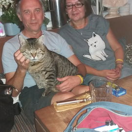Mit Katzenkönig Aslan ...