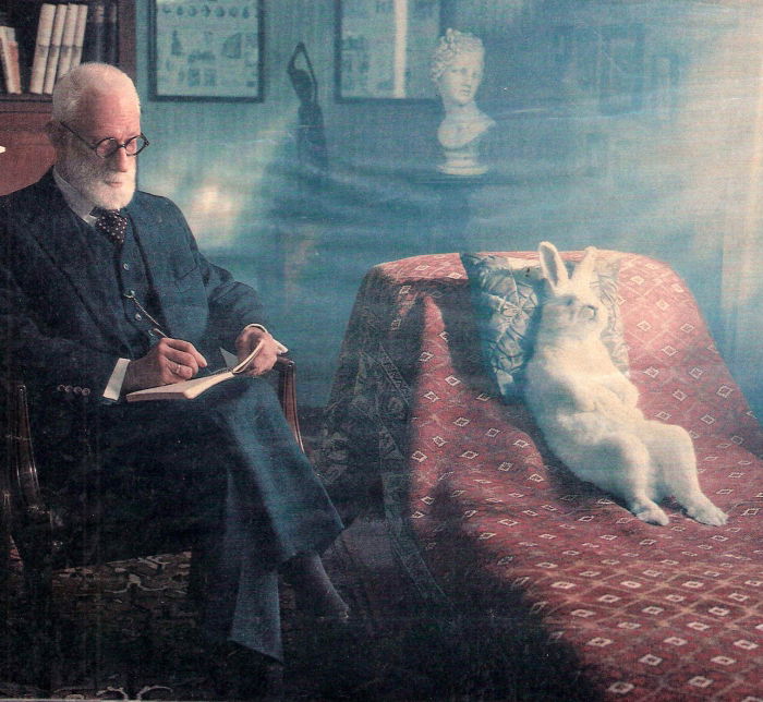 Hase: "Was haben Sie für ein Problem?"..... Psychater: "Ich bin der Ghostwriter eines Hasen!"