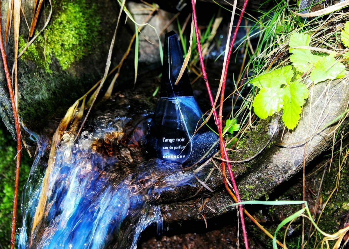 💙 Der schwarze Engel wurde leider abgelehnt 💙