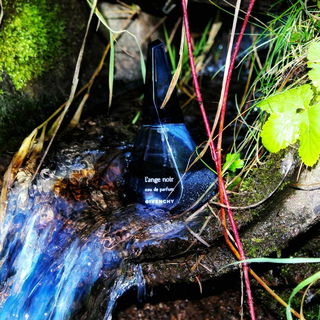 💙 Der schwarze Engel...